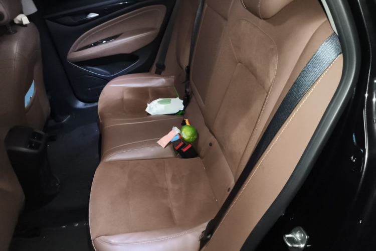 Used Buick Regal 2019 20T Luxury Model China VI Standard Left Rear Seat