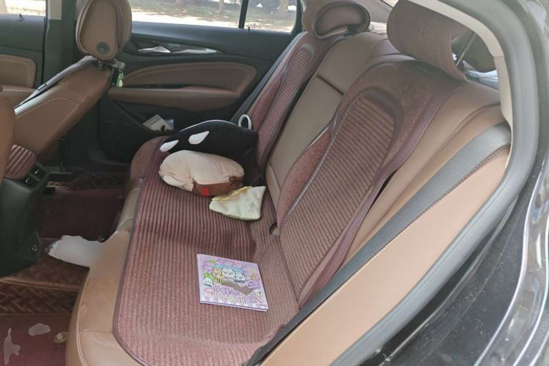 Used Buick Regal 2019 Revised 20T Luxury Version China VI Standard Left Rear Seat