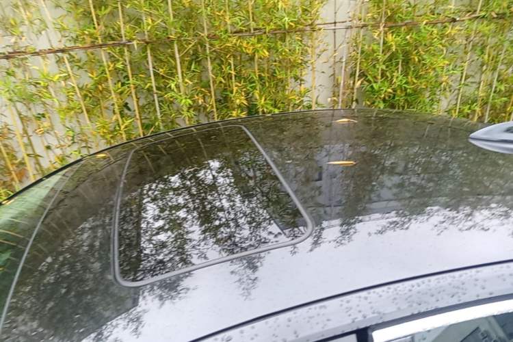 Used Buick Regal 2019 20T Elite Version China VI Standard Roof