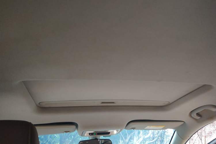 Used Buick Regal 2019 20T Elite Version China VI Standard Headliner