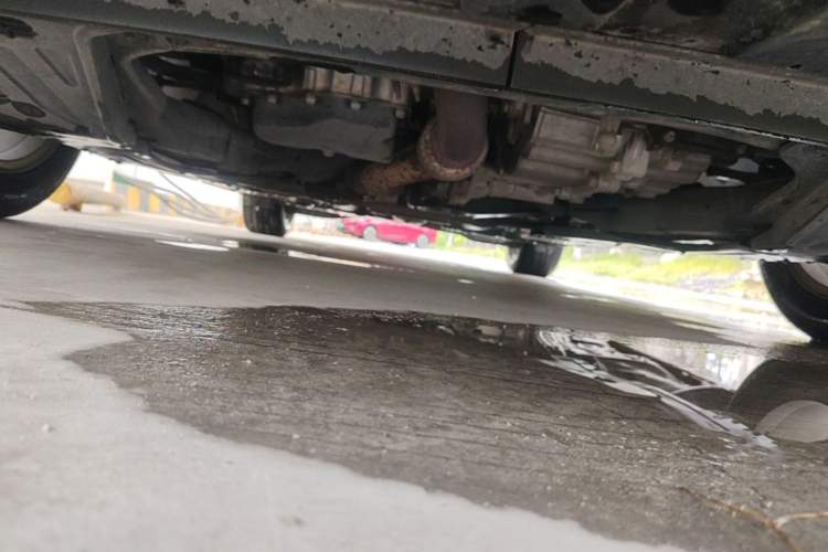 Used Buick Regal 2019 20T Elite Version China VI Standard Chassis Front