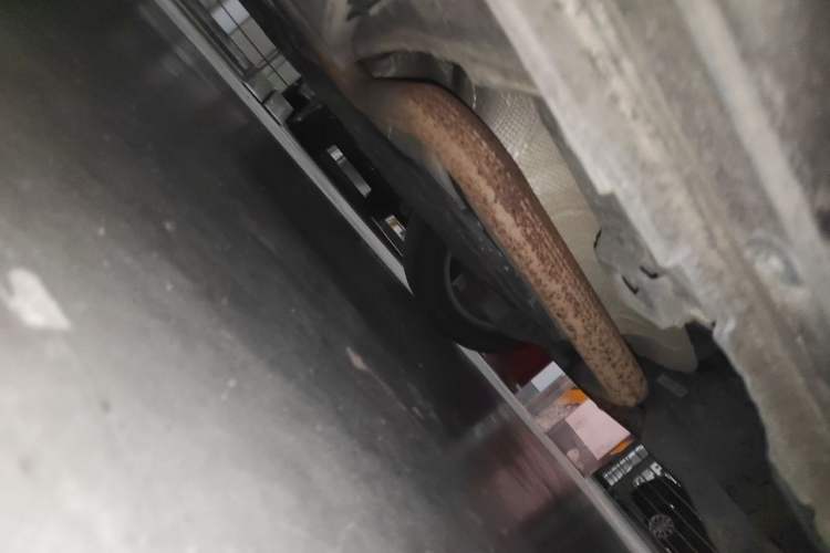 Used Buick Regal 2019 20T Elite Version China VI Standard Chassis Rear Left