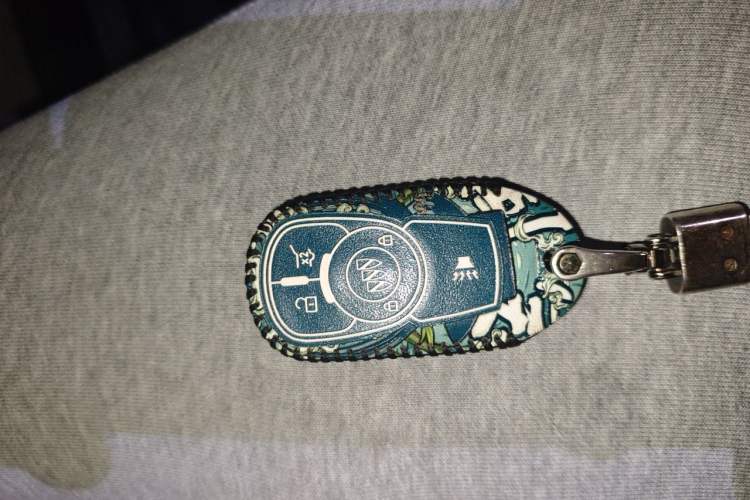 Used Buick Regal 2019 20T Elite Version China VI Standard Gear Lever