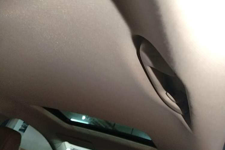 Used Buick Regal 2019 20T Elite Version China VI Standard Headliner
