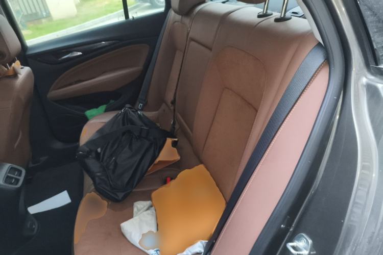 Used Buick Regal 2019 20T Luxury Model China V Standard Left Rear Seat
