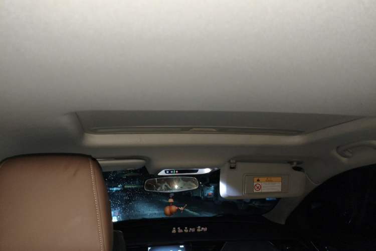 Used Buick Regal 2019 20T Elite Version China VI Standard Headliner
