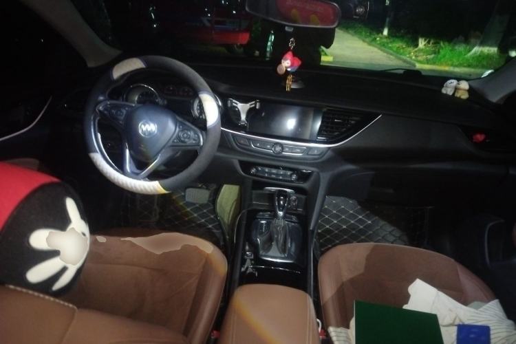 Used Buick Regal 2019 20T Elite Version China V Standard Center Console