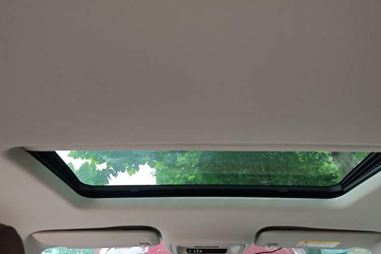 Used Buick Regal 2019 20T Elite Version China VI Standard Headliner