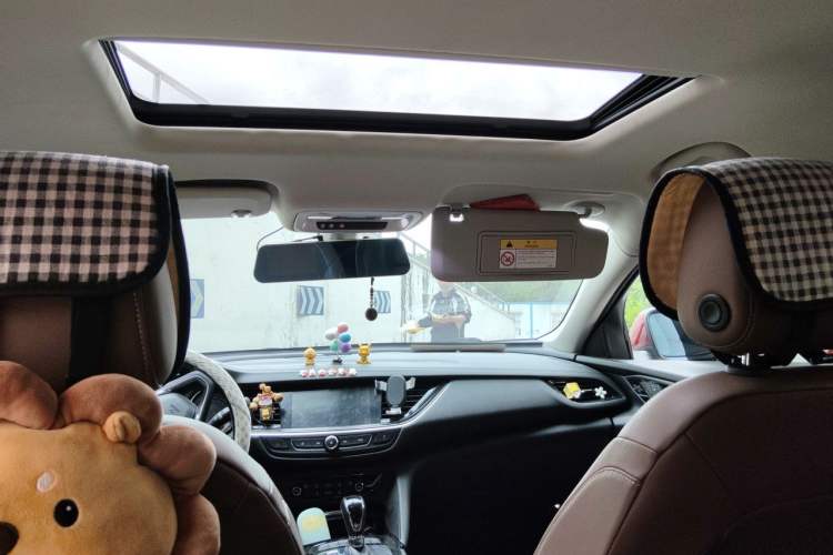 Used Buick Regal 2019 20T Elite Version China VI Standard Headliner