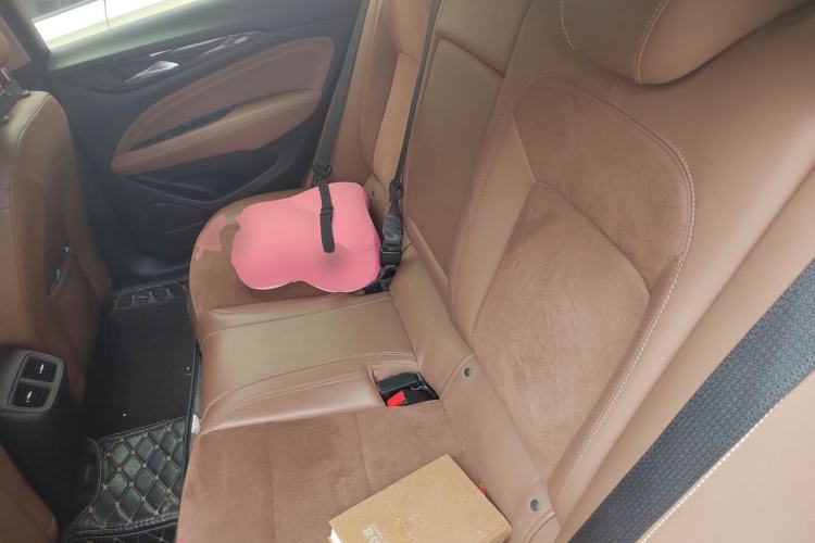 Used Buick Regal 2019 20T Luxury Model China V Standard Left Rear Seat