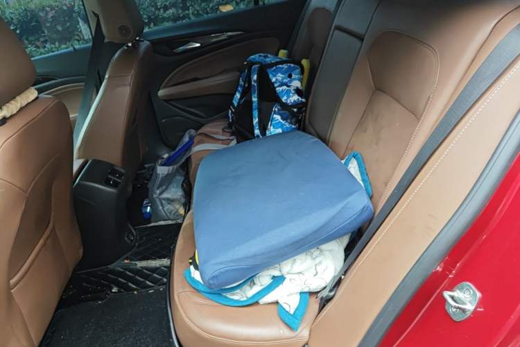 Used Buick Regal 2019 20T Elite Version China VI Standard Left Rear Seat
