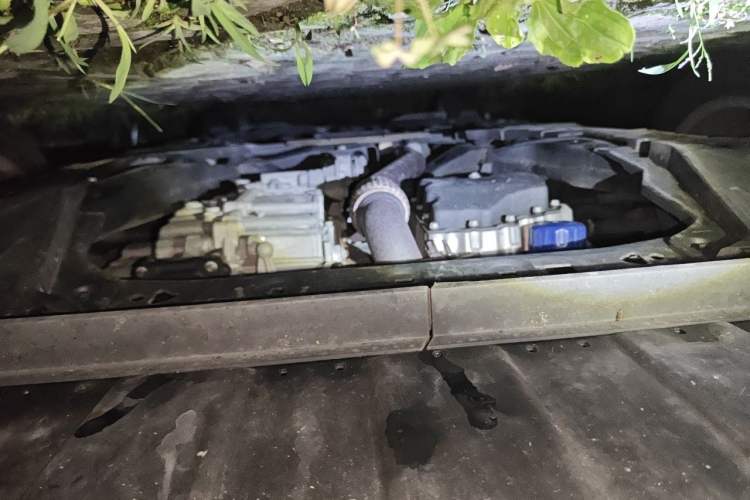 Used Buick Regal 2019 20T Elite Version China VI Standard Chassis Front