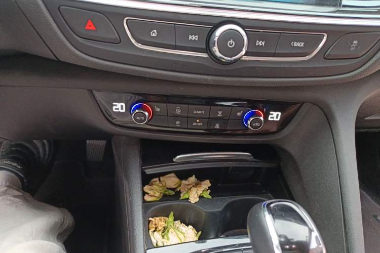 Used Buick Regal 2019 20T Elite Version China VI Standard Audio And AC Panel