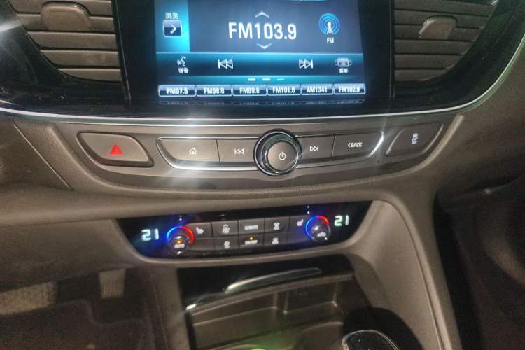Used Buick Regal 2019 20T Elite Version China VI Standard Audio And AC Panel
