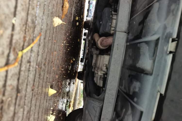 Used Buick Regal 2019 20T Elite Version China V Standard Chassis Front
