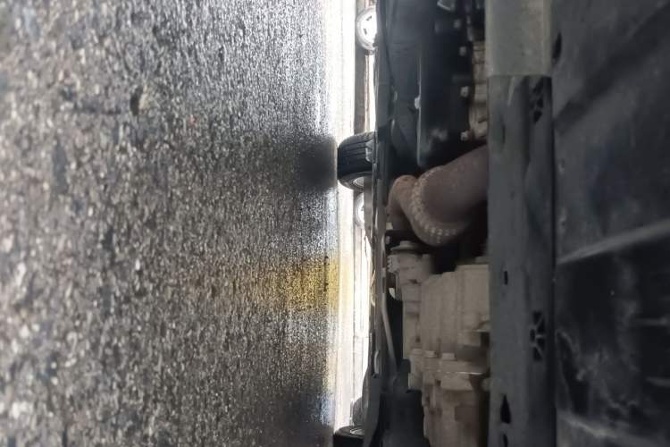 Used Buick Regal 2019 20T Elite Version China VI Standard Chassis Front