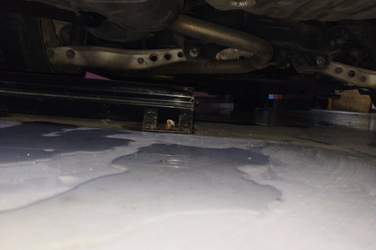 Used Buick Regal 2019 20T Elite Version China VI Standard Chassis Rear Left