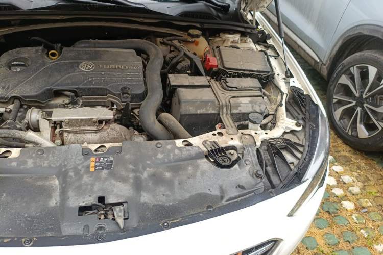 Used Buick Regal 2019 20T Luxury Model China VI Standard Engine Bay Left