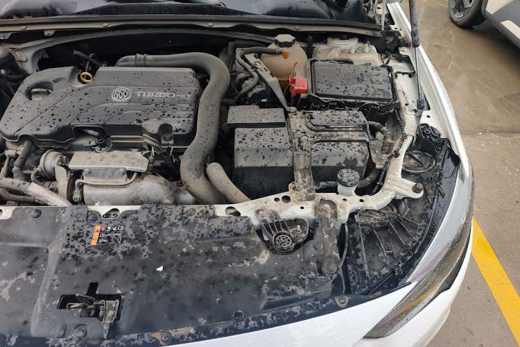 Used Buick Regal 2019 20T Elite Version China VI Standard Engine Bay Left