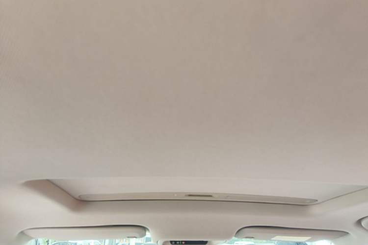 Used Buick Regal 2019 20T Elite Version China V Standard Headliner