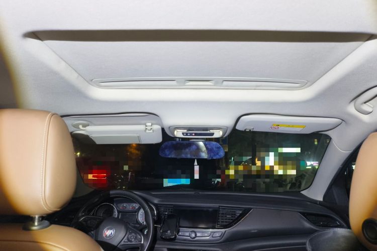 Used Buick Regal 2019 20T Luxury Model China VI Standard Headliner