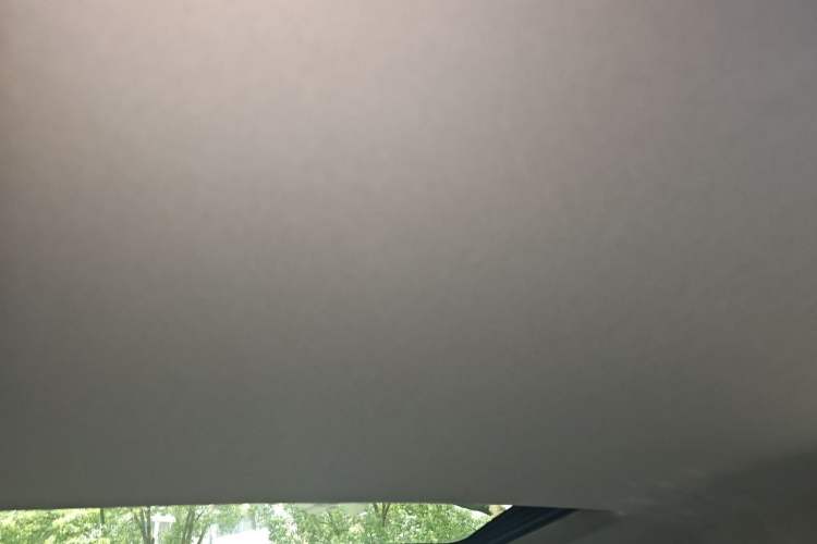 Used Buick Regal 2019 20T Elite Version China VI Standard Headliner