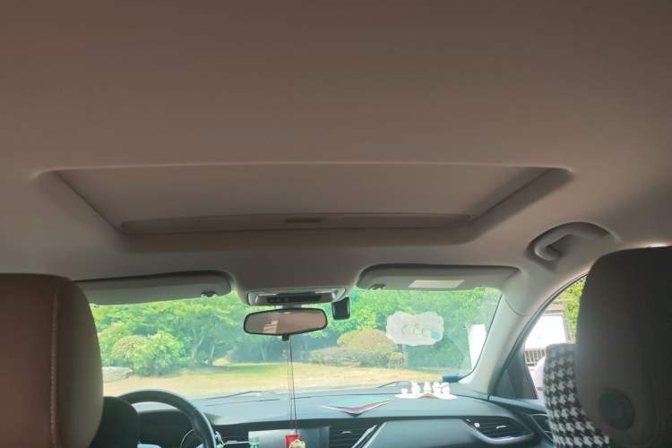 Used Buick Regal 2019 20T Elite Version China VI Standard Headliner