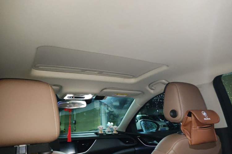 Used Buick Regal 2019 20T Elite Version China VI Standard Headliner