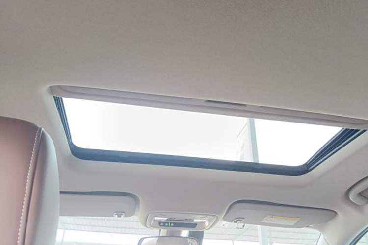 Used Buick Regal 2019 20T Elite Version China VI Standard Headliner