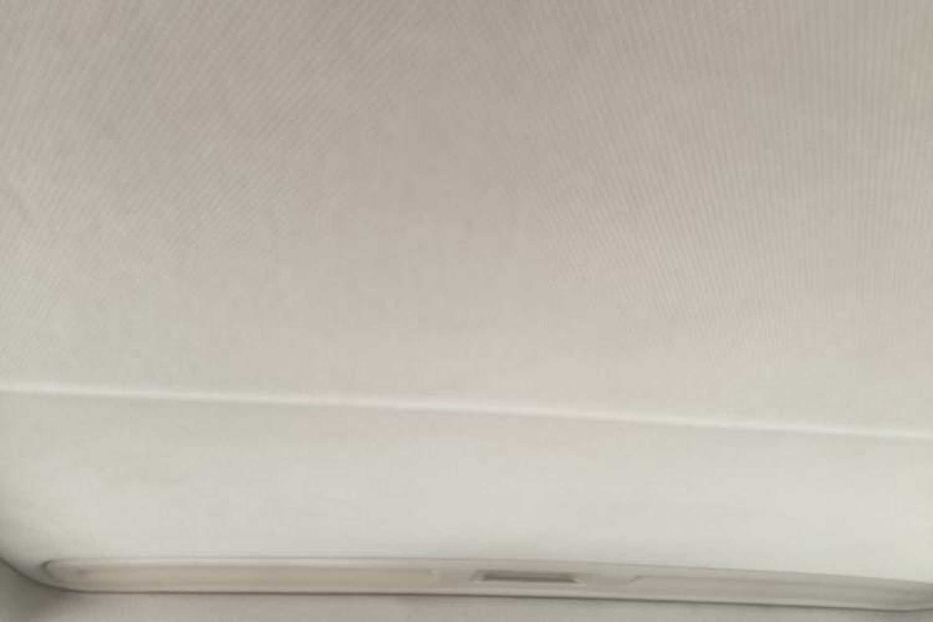 Used Buick Regal 2019 20T Elite Version China VI Standard Headliner