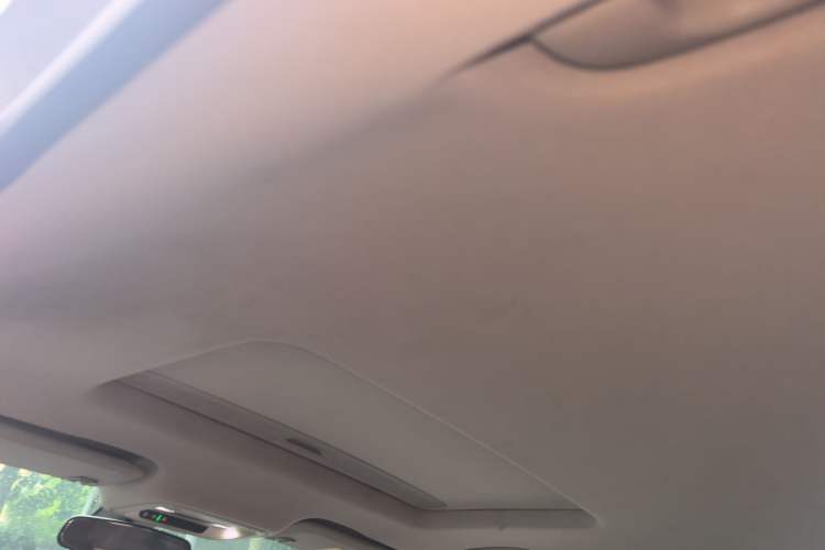 Used Buick Regal 2019 20T Elite Version China VI Standard Headliner