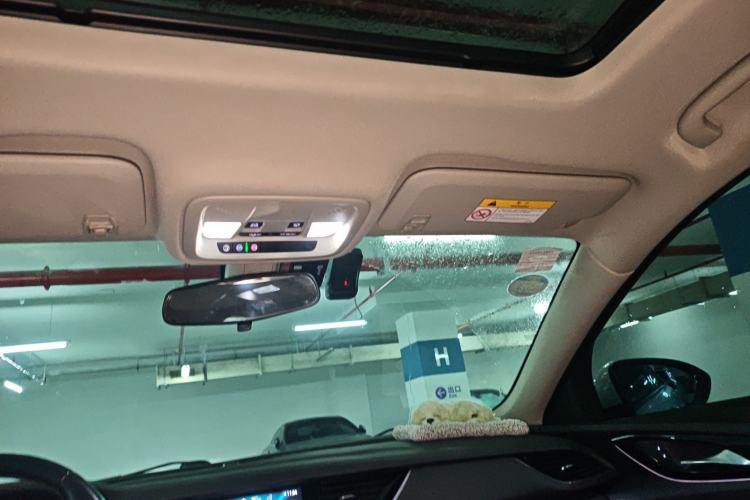 Used Buick Regal 2019 20T Elite Version China VI Standard Headliner
