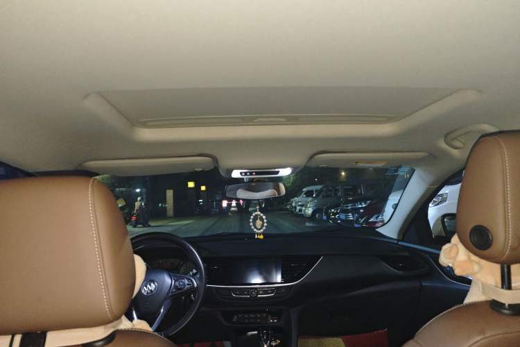 Used Buick Regal 2019 20T Elite Version China VI Standard Headliner
