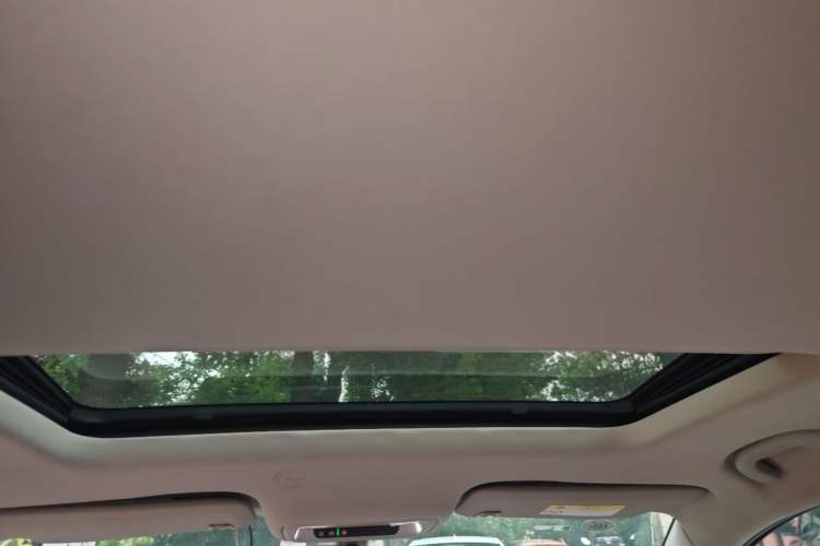 Used Buick Regal 2019 20T Elite Version China VI Standard Headliner