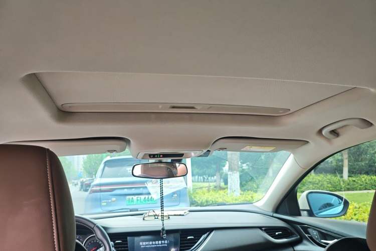 Used Buick Regal 2019 20T Elite Version China VI Standard Headliner