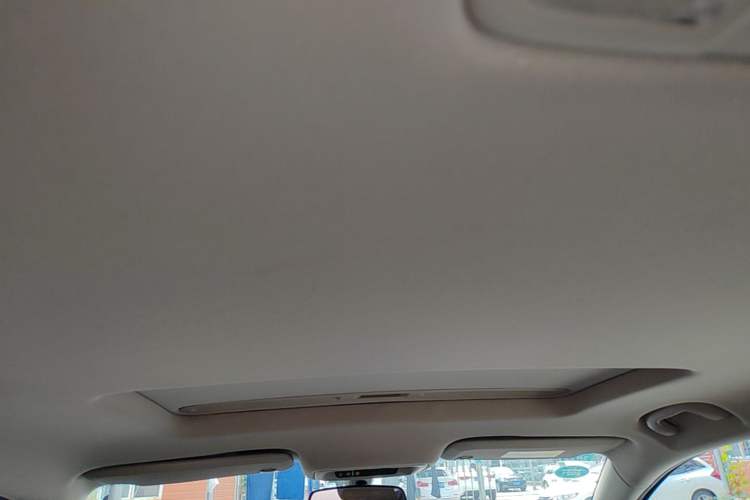 Used Buick Regal 2019 20T Elite Version China VI Standard Headliner
