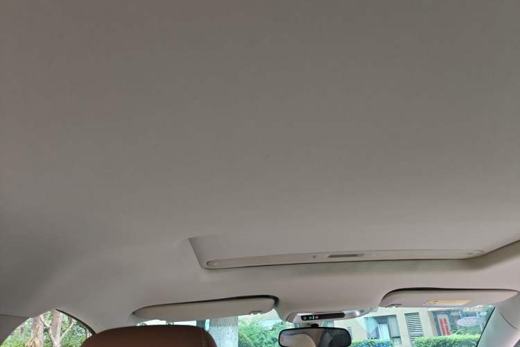 Used Buick Regal 2019 20T Elite Version China VI Standard Headliner