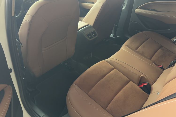 Used Buick Regal 2019 20T Elite Version China VI Standard Interior 2