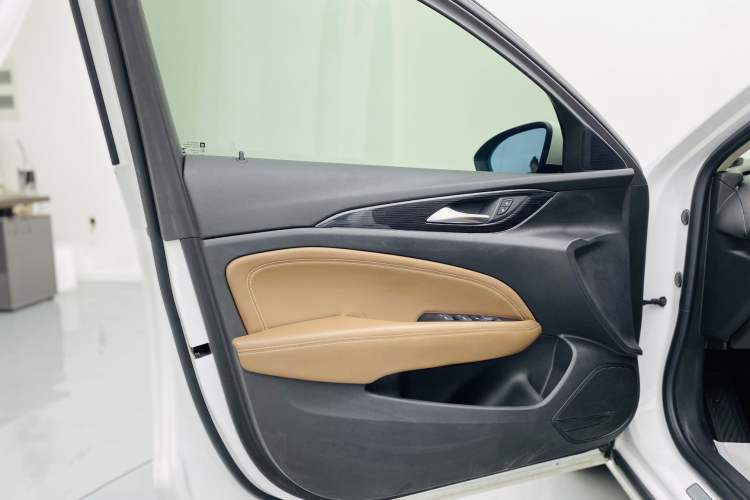 Used Buick Regal 2019 20T Elite Version China VI Standard Interior 6