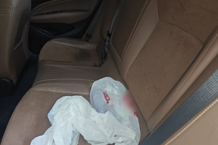 Used Buick Regal 2019 20T Elite Version China V Standard Left Rear Seat