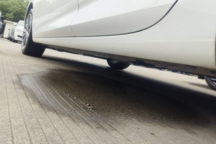 Used Buick Regal 2019 28T Luxury Edition China VI Left Side Sill