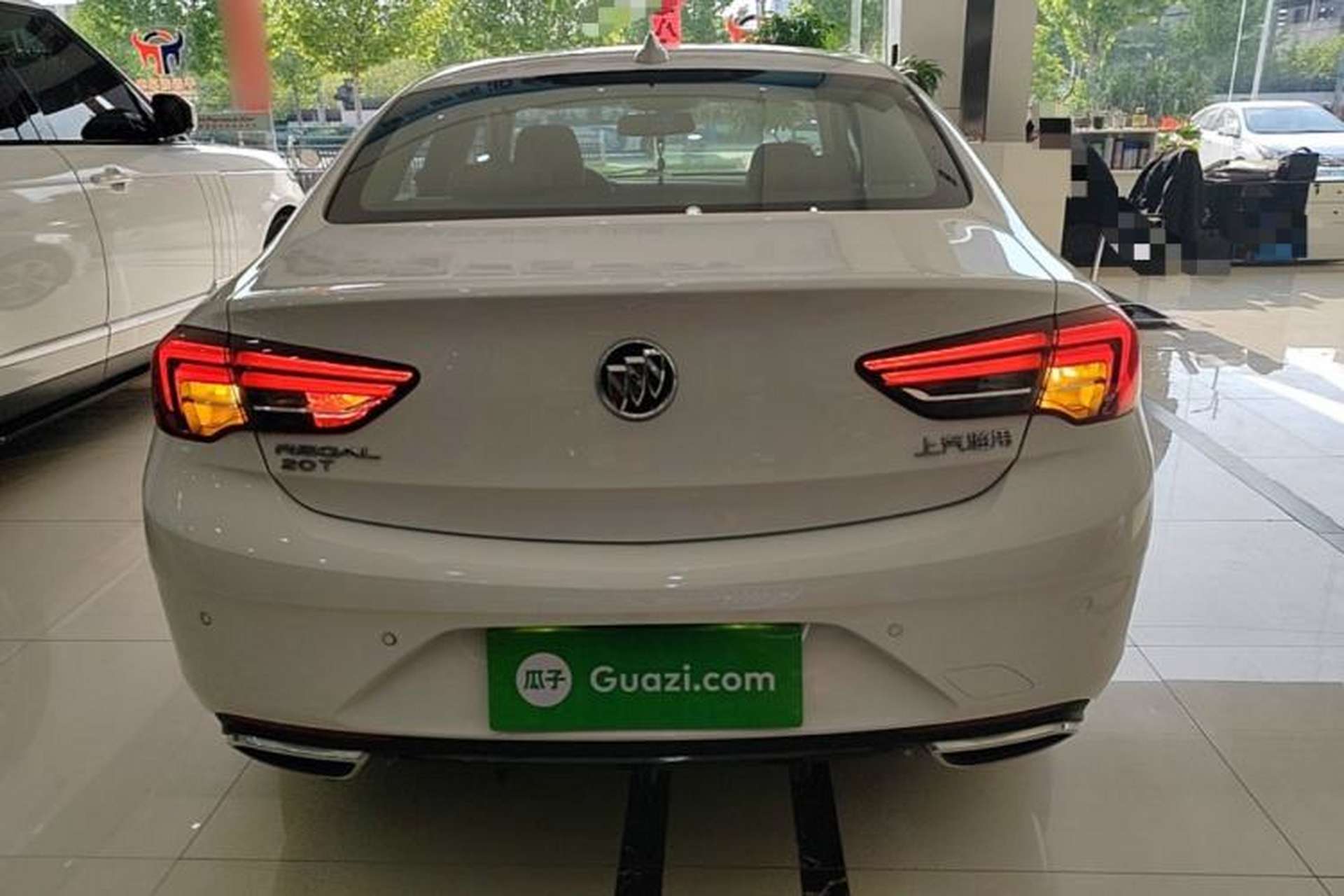Used Buick Regal 2019 20T Elite Version China VI Standard Rear