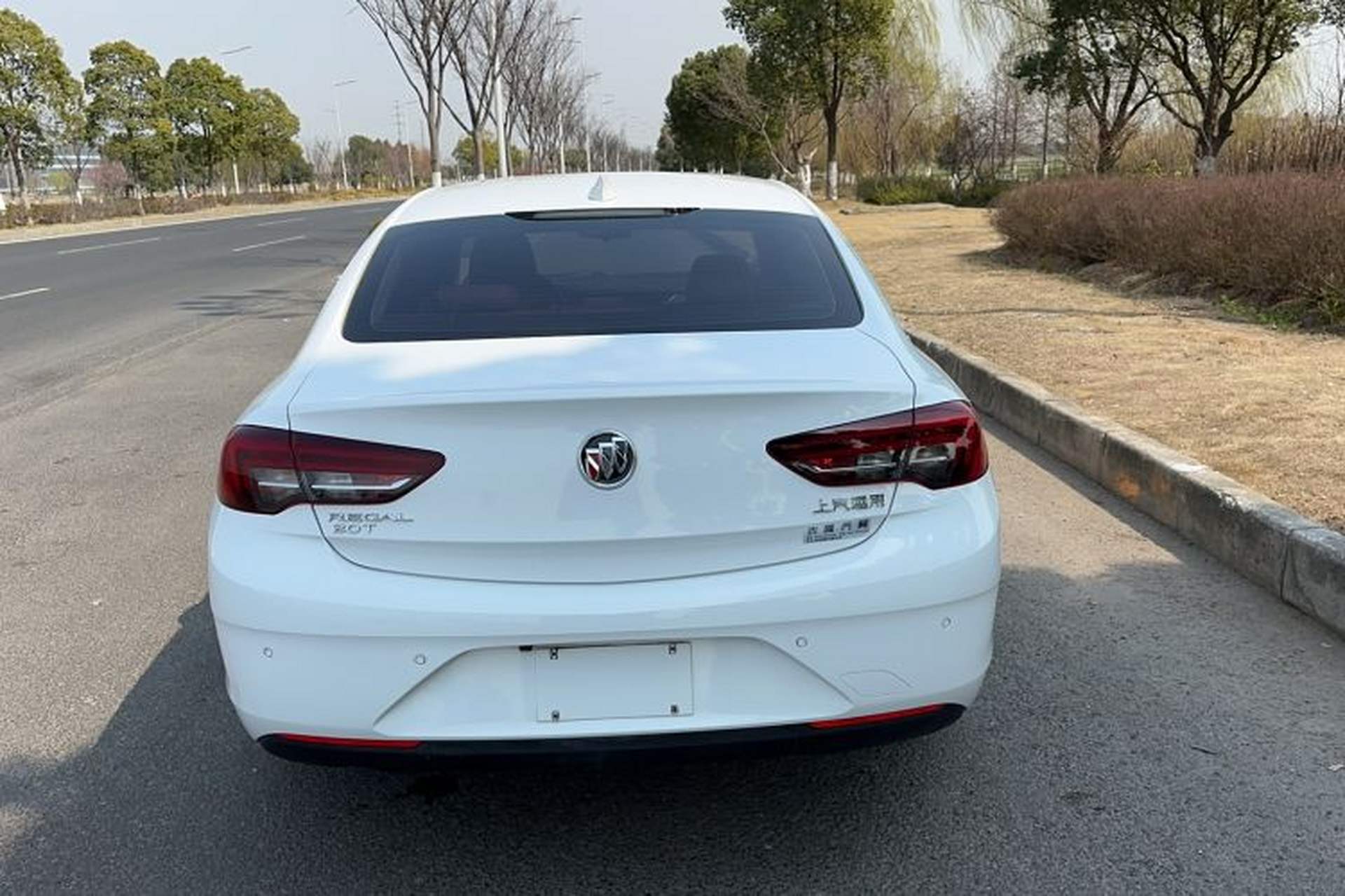 Used Buick Regal 2019 20T Elite Version China VI Standard Rear