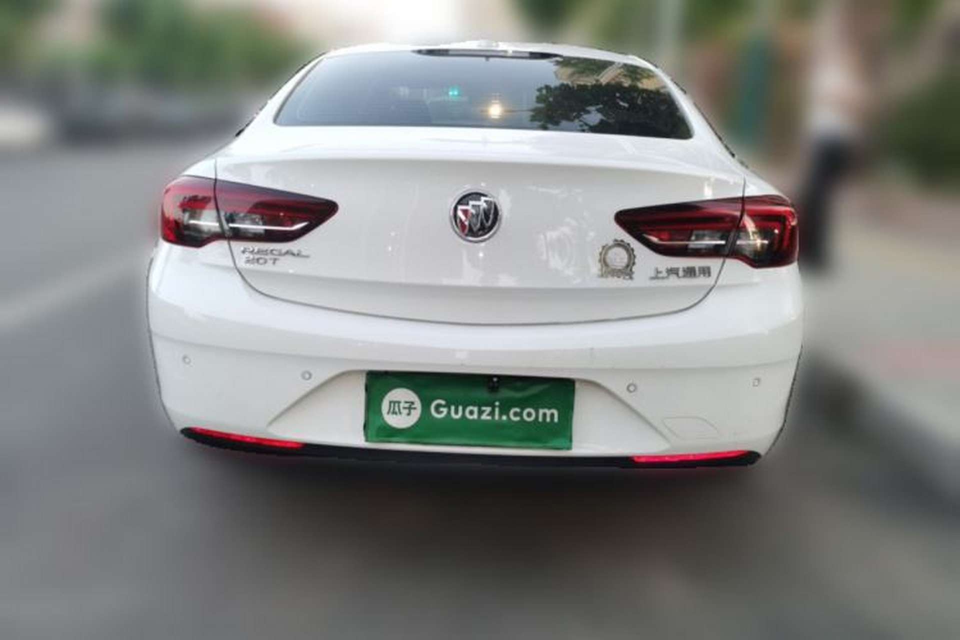 Used Buick Regal 2019 20T Elite Version China VI Standard Rear