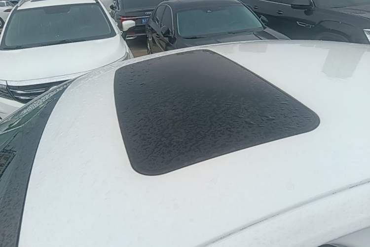 Used Buick Regal 2019 20T Elite Version China VI Standard Roof