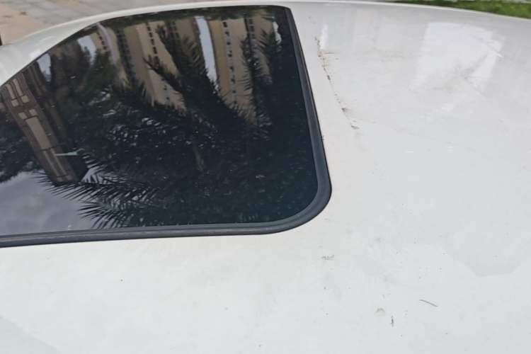 Used Buick Regal 2019 20T Elite Version China VI Standard Roof