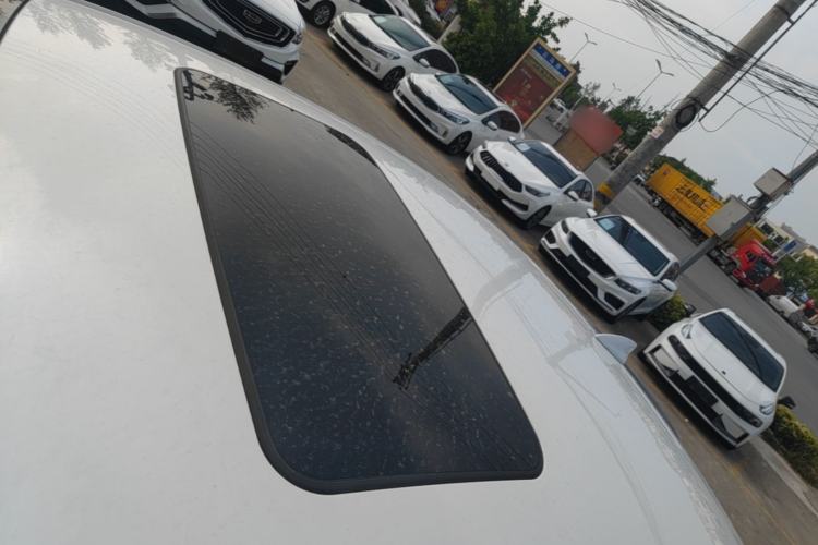 Used Buick Regal 2019 20T Elite Version China VI Standard Roof