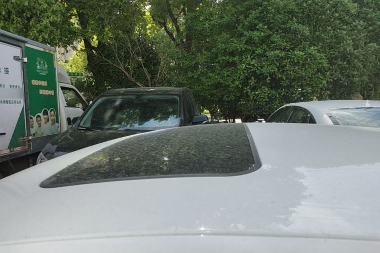 Used Buick Regal 2019 20T Elite Version China VI Standard Roof
