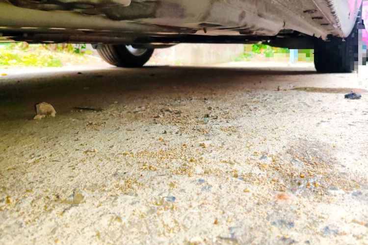 Used Buick Regal 2020 552T Elite Edition Chassis Front Left