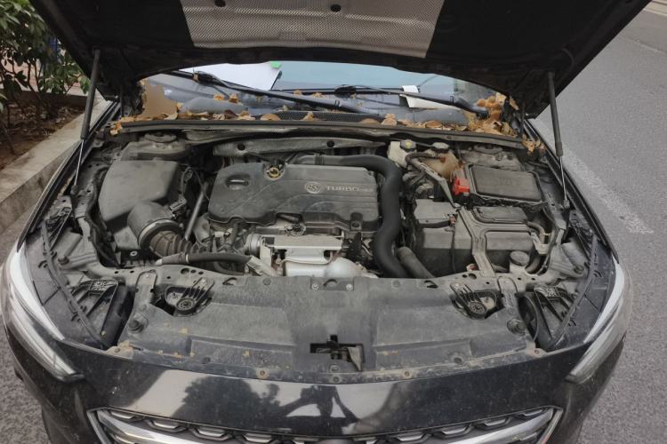 Used Buick Regal 2020 552T Elite Edition Engine Bay